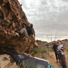 

Filename: SRM_20260104_1120390.jpg
Aperture: f/5.6
Shutter Speed: 1/320
Body: Canon EOS R6
Lens: Canon EF 16-35mm f/2.8 L