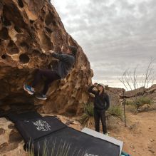 

Filename: SRM_20260104_1121140.jpg
Aperture: f/5.6
Shutter Speed: 1/320
Body: Canon EOS R6
Lens: Canon EF 16-35mm f/2.8 L