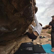 

Filename: SRM_20260104_1158060.jpg
Aperture: f/5.6
Shutter Speed: 1/320
Body: Canon EOS R6
Lens: Canon EF 16-35mm f/2.8 L