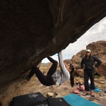 

Filename: SRM_20260104_1230300.jpg
Aperture: f/5.6
Shutter Speed: 1/500
Body: Canon EOS R6
Lens: Canon EF 16-35mm f/2.8 L