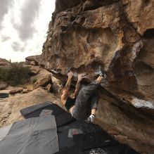 

Filename: SRM_20260104_1246490.jpg
Aperture: f/5.6
Shutter Speed: 1/500
Body: Canon EOS R6
Lens: Canon EF 16-35mm f/2.8 L