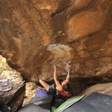 

Filename: SRM_20260104_1338230.jpg
Aperture: f/5.6
Shutter Speed: 1/320
Body: Canon EOS R6
Lens: Canon EF 16-35mm f/2.8 L