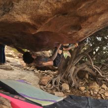 

Filename: SRM_20260104_1509290.jpg
Aperture: f/5.6
Shutter Speed: 1/400
Body: Canon EOS R6
Lens: Canon EF 16-35mm f/2.8 L