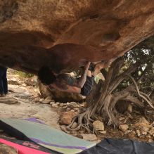 

Filename: SRM_20260104_1509320.jpg
Aperture: f/5.6
Shutter Speed: 1/400
Body: Canon EOS R6
Lens: Canon EF 16-35mm f/2.8 L