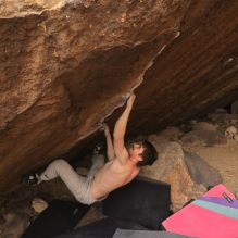 

Filename: SRM_20260104_1511590.jpg
Aperture: f/5.6
Shutter Speed: 1/400
Body: Canon EOS R6
Lens: Canon EF 16-35mm f/2.8 L