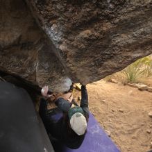 

Filename: SRM_20260104_1626480.jpg
Aperture: f/5.6
Shutter Speed: 1/320
Body: Canon EOS R6
Lens: Canon EF 16-35mm f/2.8 L