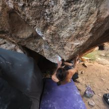 

Filename: SRM_20260104_1651480.jpg
Aperture: f/5.6
Shutter Speed: 1/320
Body: Canon EOS R6
Lens: Canon EF 16-35mm f/2.8 L