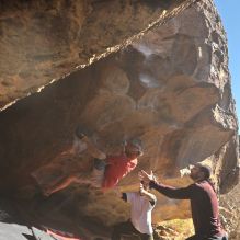 

Filename: SRM_20260117_1100120.jpg
Aperture: f/5.6
Shutter Speed: 1/320
Body: Canon EOS R6
Lens: Canon EF 16-35mm f/2.8 L