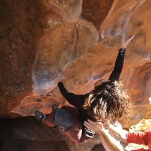 

Filename: SRM_20260117_1110090.jpg
Aperture: f/5.6
Shutter Speed: 1/500
Body: Canon EOS R6
Lens: Canon EF 16-35mm f/2.8 L