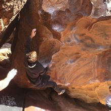 

Filename: SRM_20260117_1112420.jpg
Aperture: f/5.6
Shutter Speed: 1/500
Body: Canon EOS R6
Lens: Canon EF 16-35mm f/2.8 L