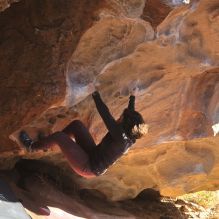 

Filename: SRM_20260117_1126350.jpg
Aperture: f/5.6
Shutter Speed: 1/500
Body: Canon EOS R6
Lens: Canon EF 16-35mm f/2.8 L