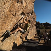 

Filename: SRM_20260117_1549411.jpg
Aperture: f/8.0
Shutter Speed: 1/1000
Body: Canon EOS R6
Lens: Canon EF 16-35mm f/2.8 L