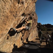 

Filename: SRM_20260117_1549430.jpg
Aperture: f/8.0
Shutter Speed: 1/1000
Body: Canon EOS R6
Lens: Canon EF 16-35mm f/2.8 L