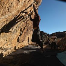 

Filename: SRM_20260117_1559340.jpg
Aperture: f/8.0
Shutter Speed: 1/1000
Body: Canon EOS R6
Lens: Canon EF 16-35mm f/2.8 L