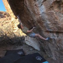 

Filename: SRM_20260117_1632590.jpg
Aperture: f/8.0
Shutter Speed: 1/1000
Body: Canon EOS R6
Lens: Canon EF 16-35mm f/2.8 L