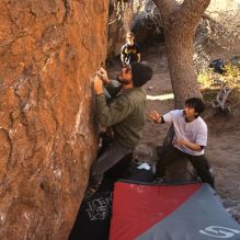 

Filename: SRM_20260117_1024430.jpg
Aperture: f/5.6
Shutter Speed: 1/320
Body: Canon EOS R6
Lens: Canon EF 16-35mm f/2.8 L