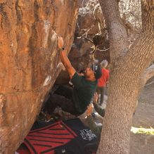 Filename: SRM_20260117_1035560.jpg
Aperture: f/5.6
Shutter Speed: 1/320
Body: Canon EOS R6
Lens: Canon EF 16-35mm f/2.8 L