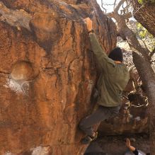 Filename: SRM_20260117_1038410.jpg
Aperture: f/5.6
Shutter Speed: 1/320
Body: Canon EOS R6
Lens: Canon EF 16-35mm f/2.8 L