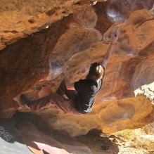 Filename: SRM_20260117_1117080.jpg
Aperture: f/5.6
Shutter Speed: 1/500
Body: Canon EOS R6
Lens: Canon EF 16-35mm f/2.8 L