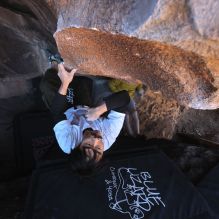 

Filename: SRM_20260117_1412570.jpg
Aperture: f/5.6
Shutter Speed: 1/500
Body: Canon EOS R6
Lens: Canon EF 16-35mm f/2.8 L