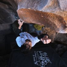 

Filename: SRM_20260117_1412571.jpg
Aperture: f/5.6
Shutter Speed: 1/500
Body: Canon EOS R6
Lens: Canon EF 16-35mm f/2.8 L