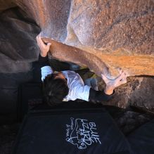 

Filename: SRM_20260117_1413010.jpg
Aperture: f/5.6
Shutter Speed: 1/500
Body: Canon EOS R6
Lens: Canon EF 16-35mm f/2.8 L