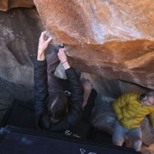 Filename: SRM_20260117_1426400.jpg
Aperture: f/5.6
Shutter Speed: 1/640
Body: Canon EOS R6
Lens: Canon EF 16-35mm f/2.8 L