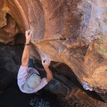 Filename: SRM_20260117_1433300.jpg
Aperture: f/5.6
Shutter Speed: 1/640
Body: Canon EOS R6
Lens: Canon EF 16-35mm f/2.8 L