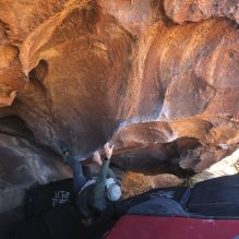 

Filename: SRM_20260117_1511000.jpg
Aperture: f/5.6
Shutter Speed: 1/640
Body: Canon EOS R6
Lens: Canon EF 16-35mm f/2.8 L