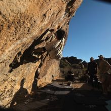 Filename: SRM_20260117_1558570.jpg
Aperture: f/8.0
Shutter Speed: 1/1000
Body: Canon EOS R6
Lens: Canon EF 16-35mm f/2.8 L