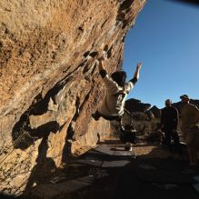 Filename: SRM_20260117_1559010.jpg
Aperture: f/8.0
Shutter Speed: 1/1000
Body: Canon EOS R6
Lens: Canon EF 16-35mm f/2.8 L