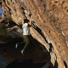 Filename: SRM_20260117_1605390.jpg
Aperture: f/8.0
Shutter Speed: 1/1000
Body: Canon EOS R6
Lens: Canon EF 16-35mm f/2.8 L