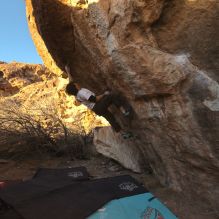 

Filename: SRM_20260117_1636170.jpg
Aperture: f/8.0
Shutter Speed: 1/1000
Body: Canon EOS R6
Lens: Canon EF 16-35mm f/2.8 L