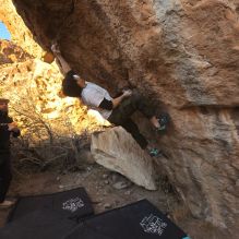 

Filename: SRM_20260117_1638470.jpg
Aperture: f/8.0
Shutter Speed: 1/1000
Body: Canon EOS R6
Lens: Canon EF 16-35mm f/2.8 L