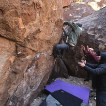 Filename: SRM_20260118_1052030.jpg
Aperture: f/8.0
Shutter Speed: 1/1000
Body: Canon EOS R6
Lens: Canon EF 16-35mm f/2.8 L