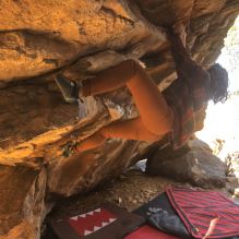 Filename: SRM_20260118_1052190.jpg
Aperture: f/8.0
Shutter Speed: 1/1000
Body: Canon EOS R6
Lens: Canon EF 16-35mm f/2.8 L