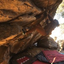 Filename: SRM_20260118_1052230.jpg
Aperture: f/8.0
Shutter Speed: 1/1000
Body: Canon EOS R6
Lens: Canon EF 16-35mm f/2.8 L