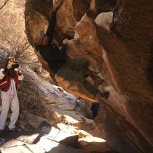 

Filename: SRM_20260118_1059520.jpg
Aperture: f/5.6
Shutter Speed: 1/500
Body: Canon EOS R6
Lens: Canon EF 16-35mm f/2.8 L