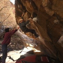 

Filename: SRM_20260118_1103010.jpg
Aperture: f/5.6
Shutter Speed: 1/500
Body: Canon EOS R6
Lens: Canon EF 16-35mm f/2.8 L