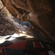 Filename: SRM_20260118_1105510.jpg
Aperture: f/5.6
Shutter Speed: 1/500
Body: Canon EOS R6
Lens: Canon EF 16-35mm f/2.8 L