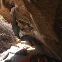 

Filename: SRM_20260118_1107310.jpg
Aperture: f/5.6
Shutter Speed: 1/500
Body: Canon EOS R6
Lens: Canon EF 16-35mm f/2.8 L