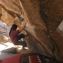 

Filename: SRM_20260118_1110070.jpg
Aperture: f/5.6
Shutter Speed: 1/500
Body: Canon EOS R6
Lens: Canon EF 16-35mm f/2.8 L