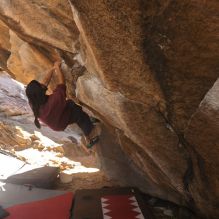 

Filename: SRM_20260118_1110090.jpg
Aperture: f/5.6
Shutter Speed: 1/500
Body: Canon EOS R6
Lens: Canon EF 16-35mm f/2.8 L