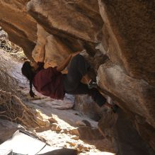 

Filename: SRM_20260118_1110170.jpg
Aperture: f/5.6
Shutter Speed: 1/500
Body: Canon EOS R6
Lens: Canon EF 16-35mm f/2.8 L