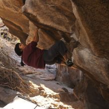 

Filename: SRM_20260118_1110220.jpg
Aperture: f/5.6
Shutter Speed: 1/500
Body: Canon EOS R6
Lens: Canon EF 16-35mm f/2.8 L