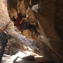 

Filename: SRM_20260118_1110400.jpg
Aperture: f/5.6
Shutter Speed: 1/500
Body: Canon EOS R6
Lens: Canon EF 16-35mm f/2.8 L