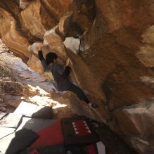 

Filename: SRM_20260118_1112210.jpg
Aperture: f/5.6
Shutter Speed: 1/500
Body: Canon EOS R6
Lens: Canon EF 16-35mm f/2.8 L