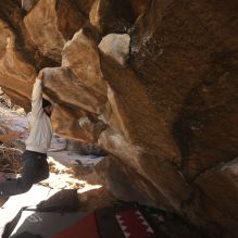 

Filename: SRM_20260118_1115030.jpg
Aperture: f/5.6
Shutter Speed: 1/500
Body: Canon EOS R6
Lens: Canon EF 16-35mm f/2.8 L