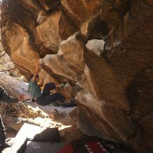 

Filename: SRM_20260118_1119090.jpg
Aperture: f/5.6
Shutter Speed: 1/500
Body: Canon EOS R6
Lens: Canon EF 16-35mm f/2.8 L