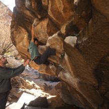 

Filename: SRM_20260118_1119430.jpg
Aperture: f/5.6
Shutter Speed: 1/500
Body: Canon EOS R6
Lens: Canon EF 16-35mm f/2.8 L